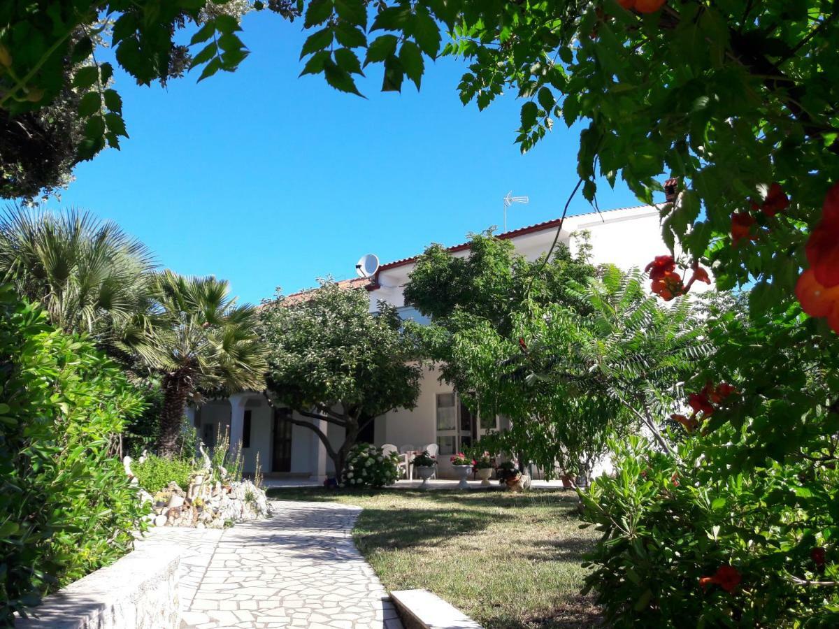 Ferienwohnung Apartman Miljenko - Matovica Kampor Exterior foto